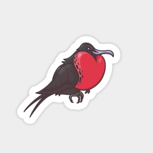 Magnificent Frigatebird Sticker